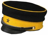 ゴールデンカムイのコスプレで明治軍帽を作りたいんですが、上の 