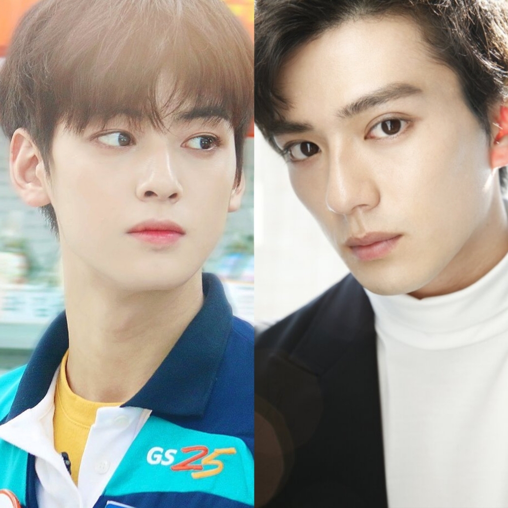 客観的に見ると 韓国の俳優チャウヌと真剣佑はどっちが整ってる顔のイケメ Yahoo 知恵袋