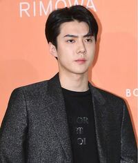 Exoについてたくさん教えてください 特にセフンに惹かれました Yahoo 知恵袋