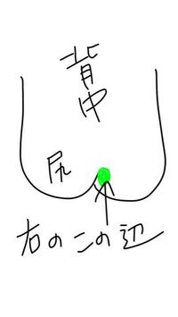 アバウトな絵で申し訳ございません 笑 この辺りは仙腸関節 Yahoo 知恵袋