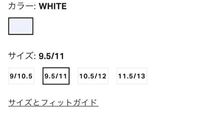 靴のサイズ Us11はセンチで言うと何センチですか はい 前者 Yahoo 知恵袋