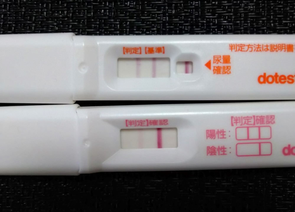 陰性 陽性 高温期12日目 妊娠初期症状。高温期13日〜18日目