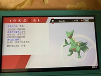 このポケモンは改造でしょうか ポケモンガチでやってるわけじゃなく Yahoo 知恵袋