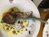 汚い写真ですみません 初めての釣りで釣れた魚です 焼く前に写真を Yahoo 知恵袋