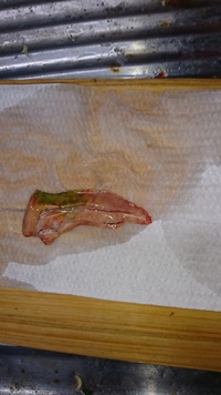 今 穴子 アナゴ はスーパーでは売ってないんですか 久々に穴子を食べた Yahoo 知恵袋