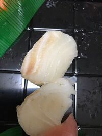 釣った魚を寿司屋に持ち込んで 握ってもらったことはありますか 子供の頃で Yahoo 知恵袋