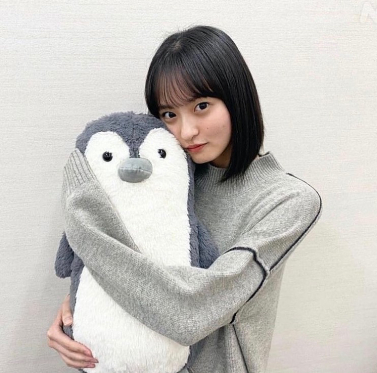 このペンギンのぬいぐるみが欲しいのですが Amazonやyahooショ Yahoo 知恵袋