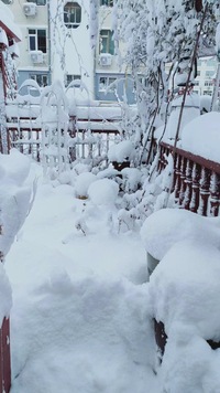 蜻蛉日記の道綱誕生の 知られねば身をうぐひすのふり出でつつ Yahoo 知恵袋