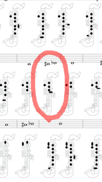 バスクラリネットだけの運指表はないでしょうか クラリネットと一緒だと思ってい Yahoo 知恵袋
