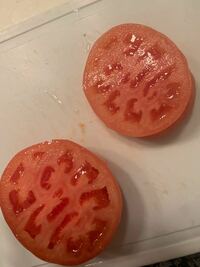 こんなトマト見たことありますか なんか怖いです Yahoo 知恵袋