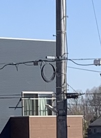 家の庭に電柱が２本立ってるんですがこれって珍しいですか Yahoo 知恵袋