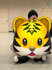 Seventeenのホシがよく虎のポーズをしている時に言っている Yahoo 知恵袋