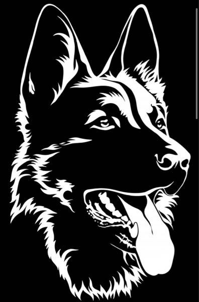 Photoshop初心者です 画像のようなイラストは本 Yahoo 知恵袋