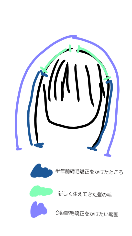 メルカリで洋服を買うとき、何回ぐらい着用されましたか？と言う質問に