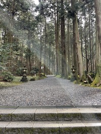 神社の前で撮ったのですが 光の中に丸がいくつか映っているのですが Yahoo 知恵袋