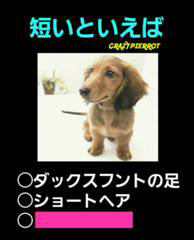 を埋めて下さい 蝉の寿命 Yahoo 知恵袋