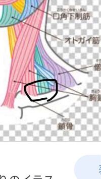 息を深く吸う時 何故か画像の左側だけ痛むというか 違和感があります Yahoo 知恵袋