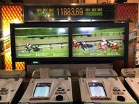 スターホース1は面白いですか メダルゲームです 競馬に Yahoo 知恵袋