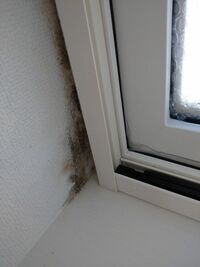 窓枠(網戸の枠)と壁の間が結露してカビが生えます。寒い日は窓の下部分が凍ります。原因が知りたいです。防ぐにはどうしたらよいのでしょうか？ 