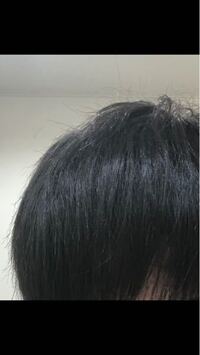 今日に髪を初カラーで地毛の黒からグレーにしました 美容師には Yahoo 知恵袋