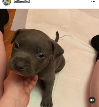 韓国語で 男性が年下の女の子を呼ぶときは何て言いますか 教えてく Yahoo 知恵袋