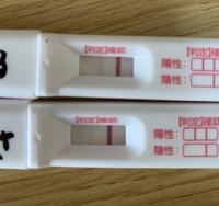 高温期17日目 生理きそう