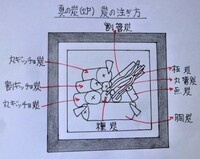 炉の真の炭手前での炭の注ぎ方は図のとおりで良いですか