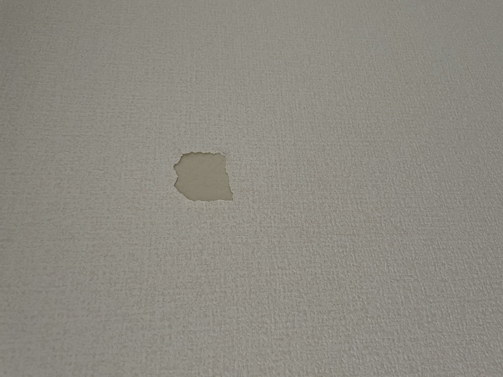 アパート 壁紙 剥がれ た