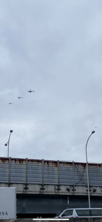 狼少女アマラとカマラの写真が見たいです 四つんばになって食べている写真 Yahoo 知恵袋