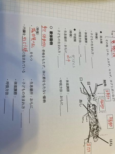 理科の生物なんですけどこの空欄分かる方居ませんか 昆虫 Yahoo 知恵袋