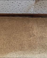 この天井の白い板の名前がわかる方いませんか できれば その下の黄 Yahoo 知恵袋