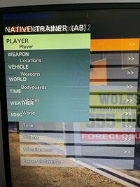 Pc版gta5modのバック トゥ ザ フューチャーの導入方法がイ Yahoo 知恵袋