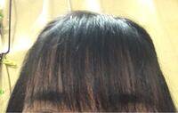 前髪を薄くしたいのですが どう切ればいいでしょうか 切る Yahoo 知恵袋