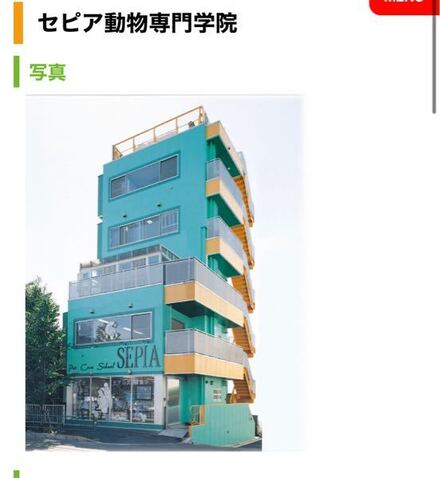 武蔵野市吉祥寺にあるセピア動物専門学院で閉業してしまったんですか 教えて しごとの先生 Yahoo しごとカタログ
