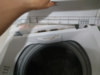 ○販売終了○TOSHIBA 5k洗濯機 2020年製 中古品 ※フタを開けた時、固定