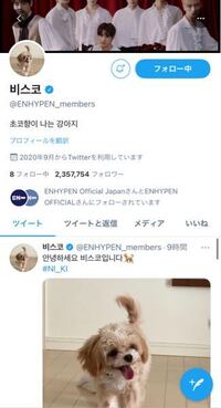 昨日まで名前もトプ画もenhypenだったのになんで名前もトプ画も犬に Yahoo 知恵袋