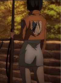 ミカサのこれって 生足ですか ズボン履いてるようにしか見えないですが Yahoo 知恵袋