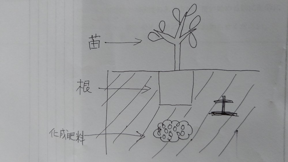 化成肥料の使い方について質問です 母が野菜の苗 今回は Yahoo 知恵袋