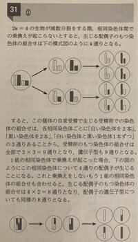 2n 4の染色体の配偶詩の組み合わせは何通りありますか Yahoo 知恵袋