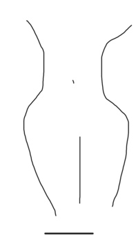 人間関係の希薄を対義語でなんと言えばいいか悩んでいます 辞書で調べ Yahoo 知恵袋