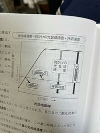 細胞小器官には膜で囲まれたものと囲まれていなものがあり それぞれ働きを Yahoo 知恵袋