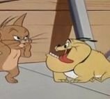 トムとジェリーでジェリーが黄色くて小さな犬を飼い始めるシーンがあるので Yahoo 知恵袋