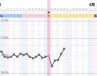 妊娠希望です 4 18のびおりピーク排卵検査薬 朝陰性 夜陽性4 19 Yahoo 知恵袋