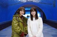 ネメシスっていうドラマ 面白いですか 全然面白くない 第二話だけ見 Yahoo 知恵袋