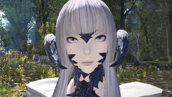 Ff14についての質問です アウラの顔の種類で写真のよ Yahoo 知恵袋