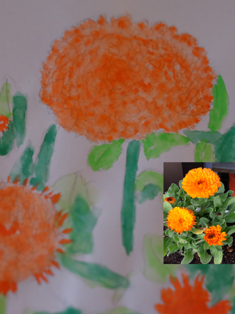 水彩画の絵の書き方について このオレンジの花をもう少し奥行き Yahoo 知恵袋
