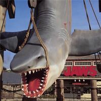 Usjのジョーズくらいの大きさのサメって実在するのですか 日本にいます Yahoo 知恵袋