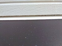 現在、外壁塗装工事中です。
ひさしの付け根部分ですが、壁の塗料が被さるように塗装されています。 素人目線ではひさしの塗料を付け根まで塗って見切ったほうが良いと思うのですがこれが一般的なのでしょうか。