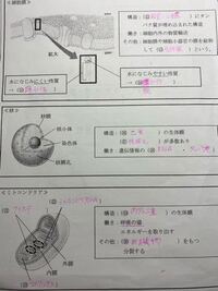 鉄壁やってて思ったのですが 所々単語の後の前置詞に線が引かれています 皆さんは Yahoo 知恵袋