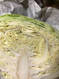 貸農園で趣味で育てたキャベツです 中央上部付近に一部黒ずんだ部分 Yahoo 知恵袋